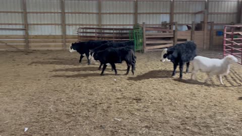 Ellie-Mae, 1/6/2026-3