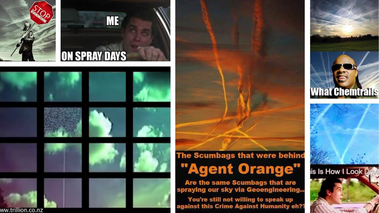 🚨 LOOK 👀 UP - Death Dumps