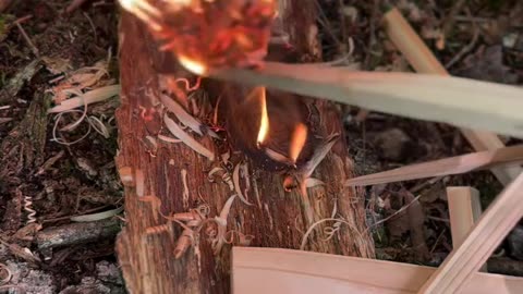 Ferro Rod Bushcraft Fire