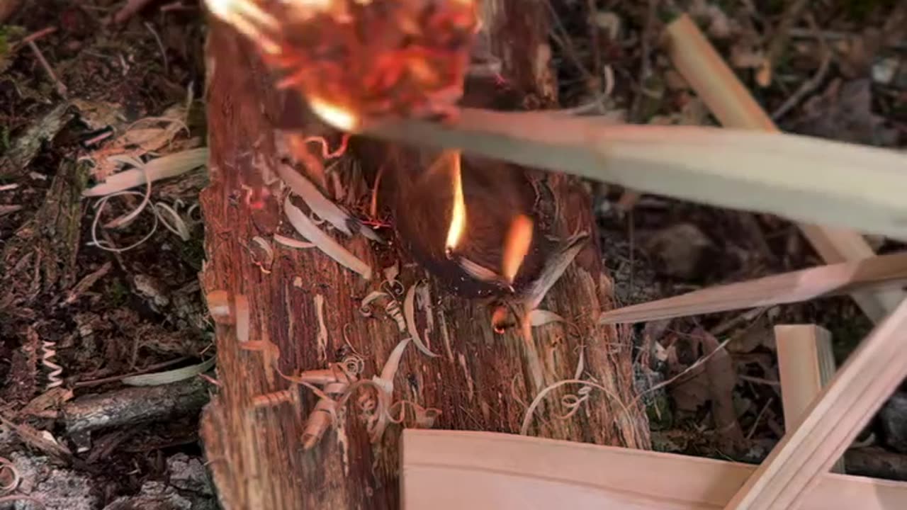 Ferro Rod Bushcraft Fire