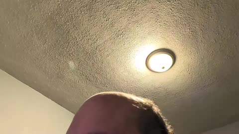 Feeding Time (February 2026)