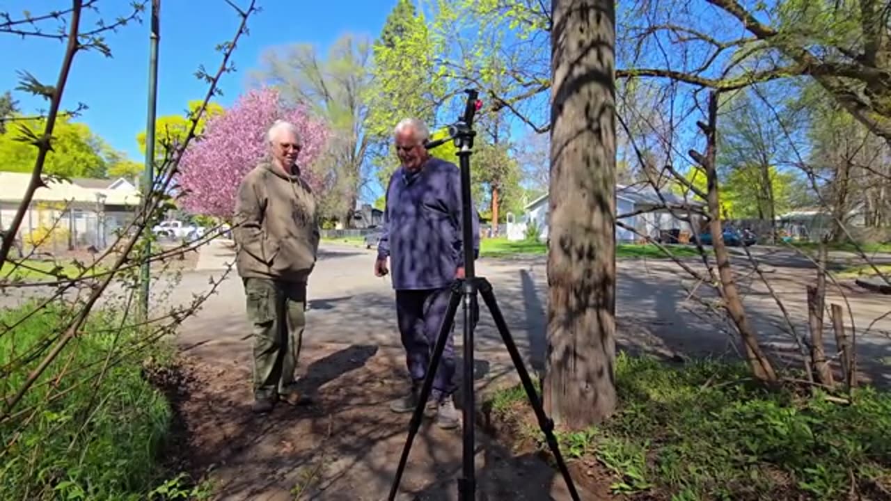 I Felt Like An ARCHEOLOGIST Digging Up This BURIED Sidewalk (Neighbors SHOCKED)_part4