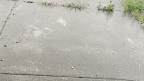 The Hail