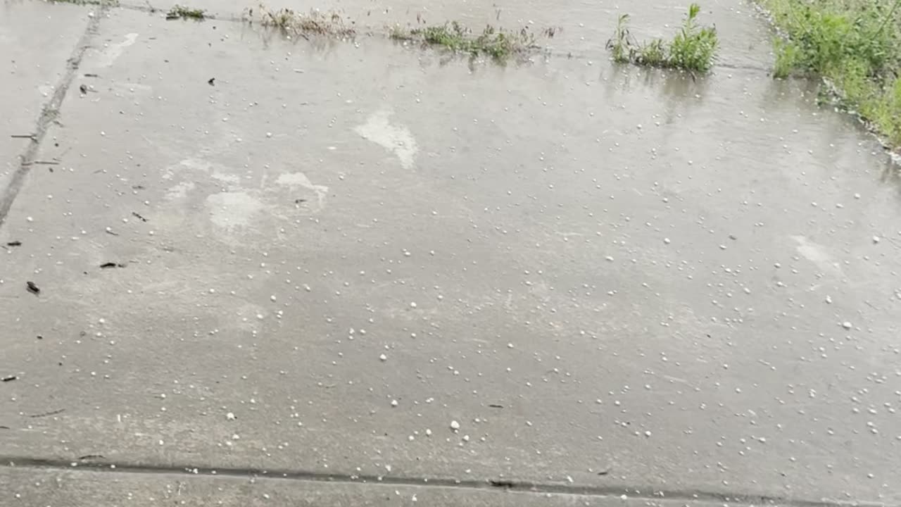 The Hail