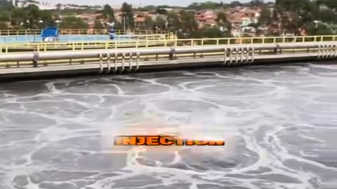 where does the wastewater we use every day actually go?