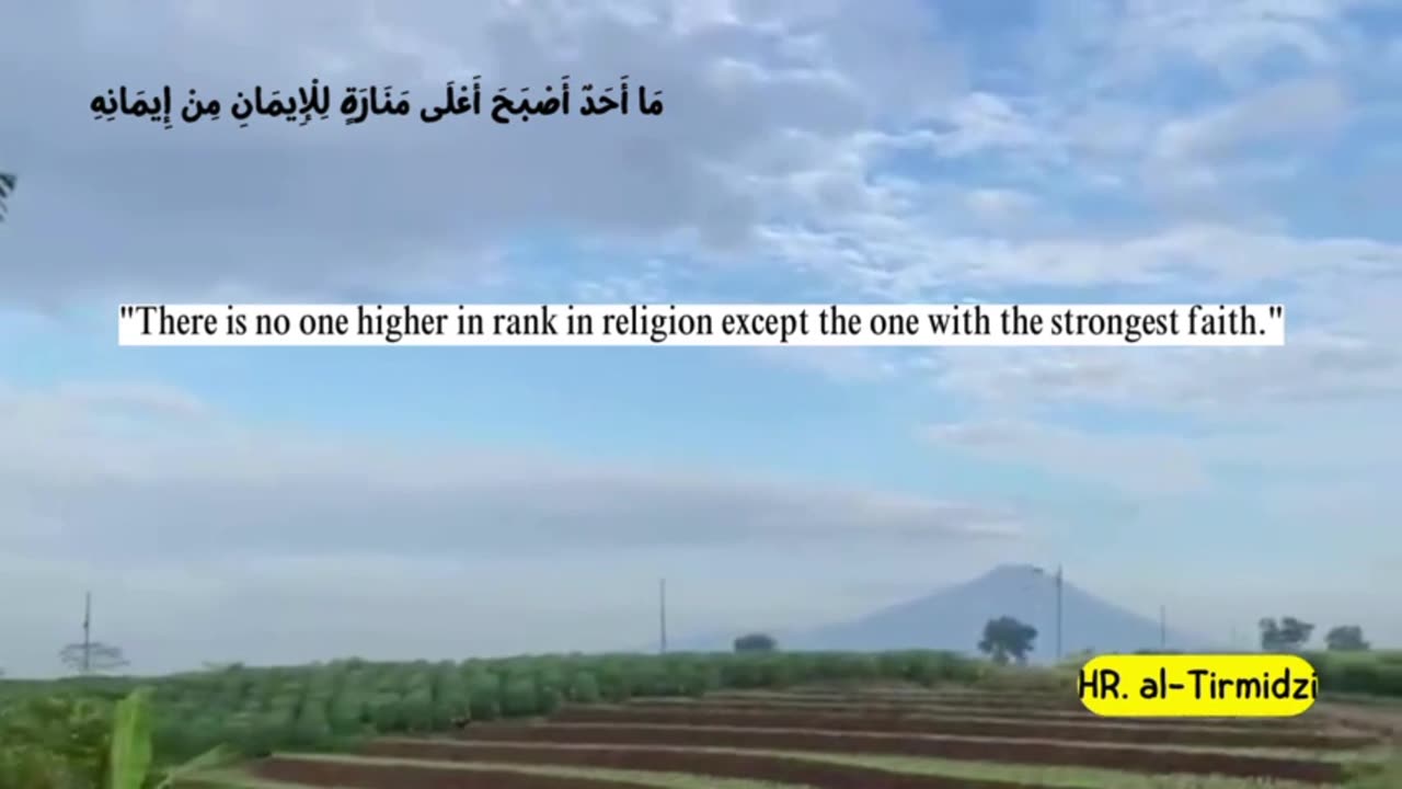 Partly about the Islamic religion 13