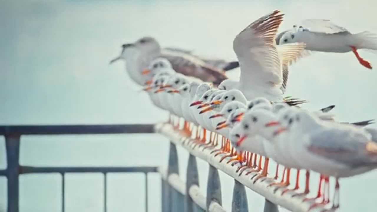 VICTORY OVER WEAKNESS - DAILY DEVOTIONAL ❤️