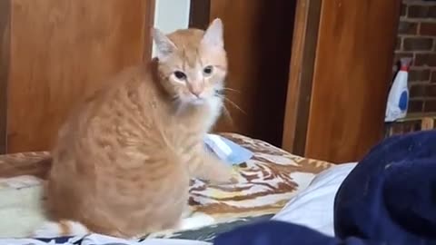 🤣😒 When Love Turns to JEALOUSY! | FunFM