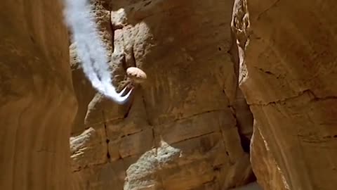 King cobra