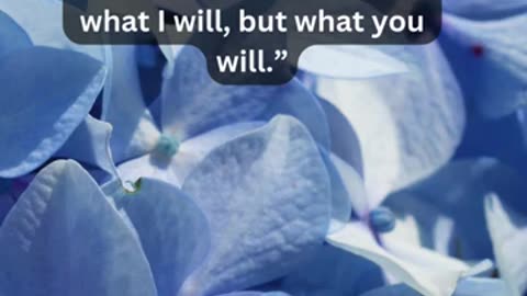 Journey of faith and spiritual growth Mark 14:36 Daily Bible Verse