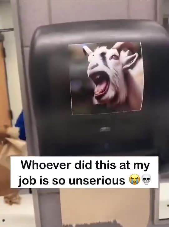 Yes, This Paper Towel Dispenser Sounds Like a Goat