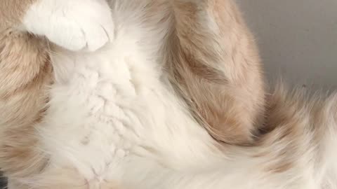 what a sleep