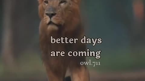 Better Days Are Coming...