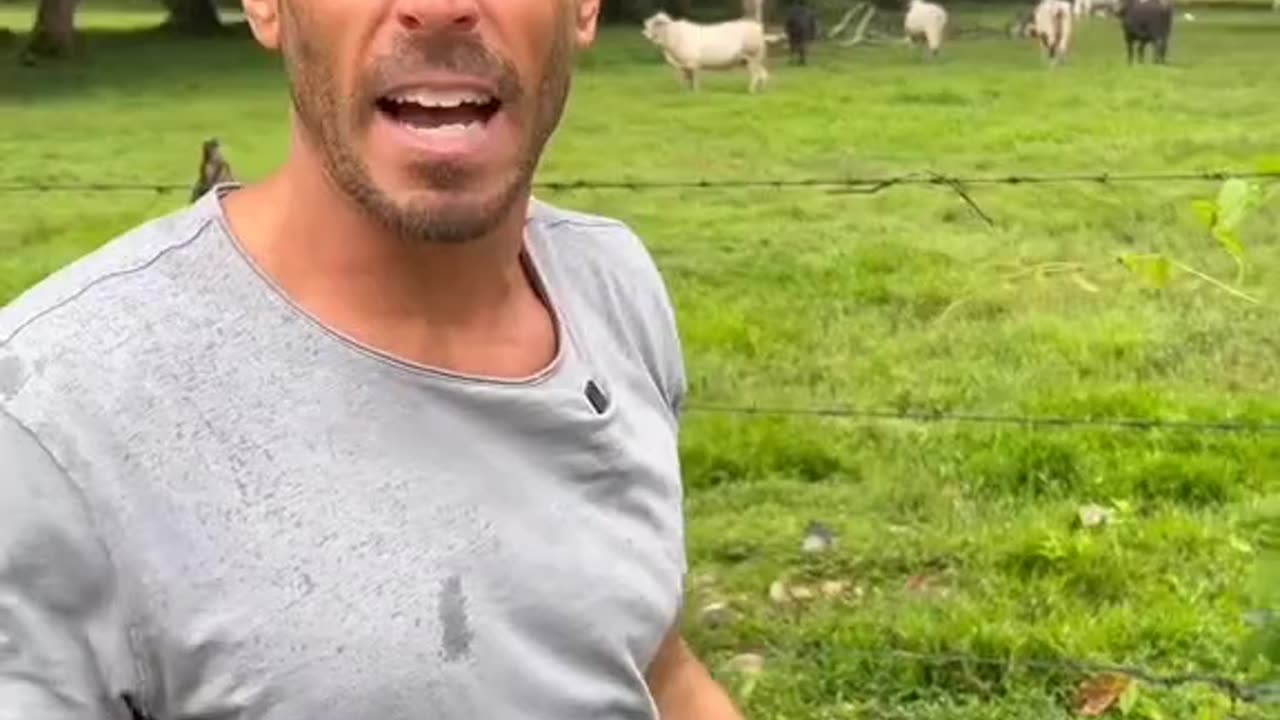 Cow farts are not the problem. Globalist climate liars are.
