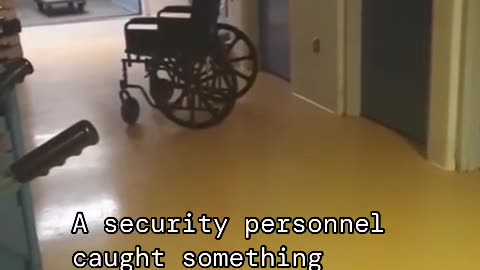 😱👽 Strange Creatures in the Night! | TheHauntingHour