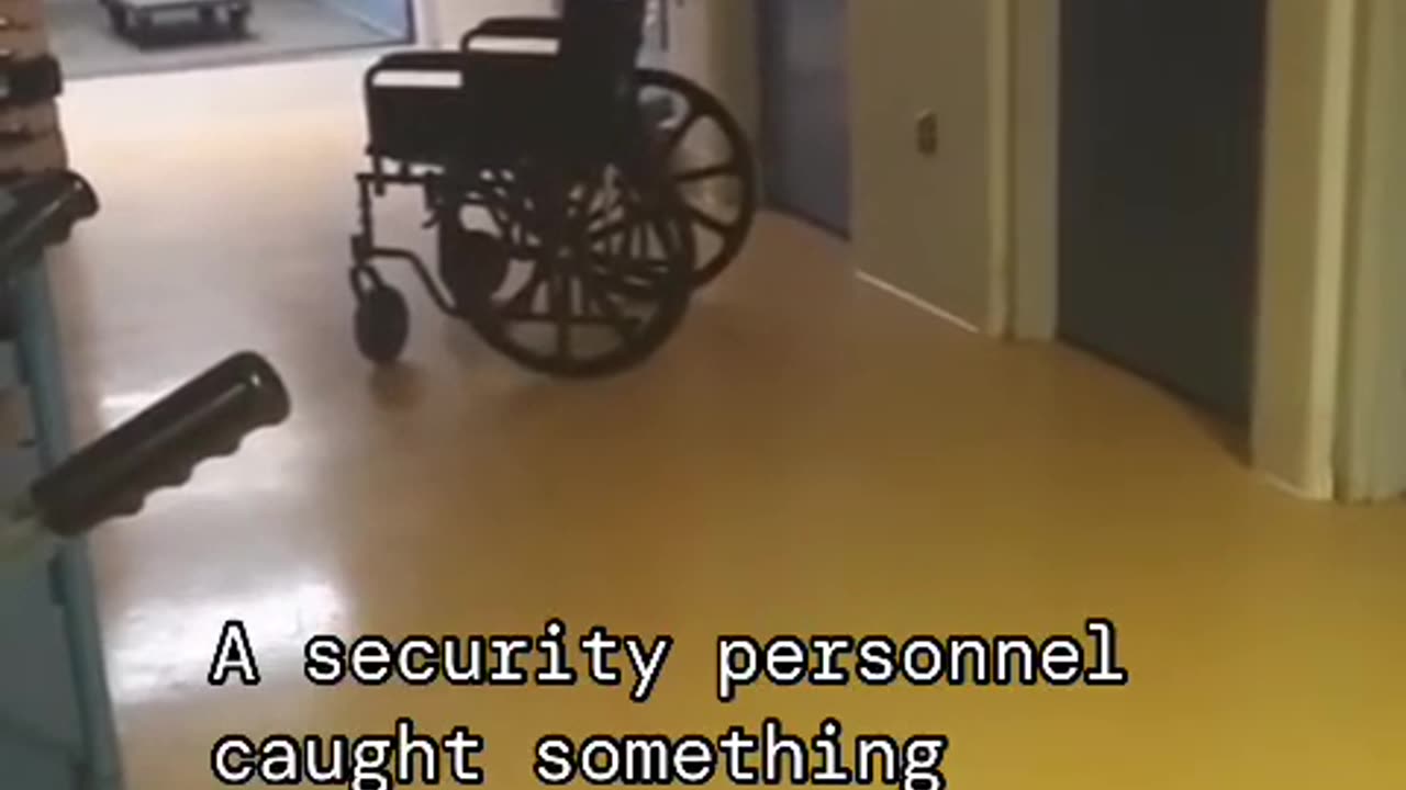 😱👽 Strange Creatures in the Night! | TheHauntingHour