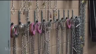 ORGAN HARVESTING |IN ALABAMA PRISONS