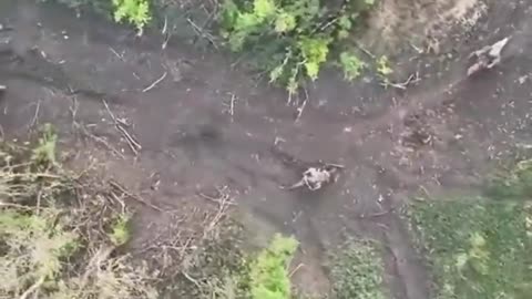 💣🛵 Ukraine Russia War | Drone Grenade Drop Sparks Massive Mine Chain Reaction | RCF