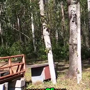 Off-Grid Hack_ Free Heat From Cardboard_ You Won't Believe It! #livingoffgrid