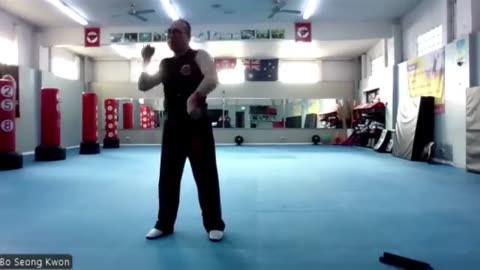 Hapkido