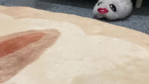 What can you tell by looking at the bottom