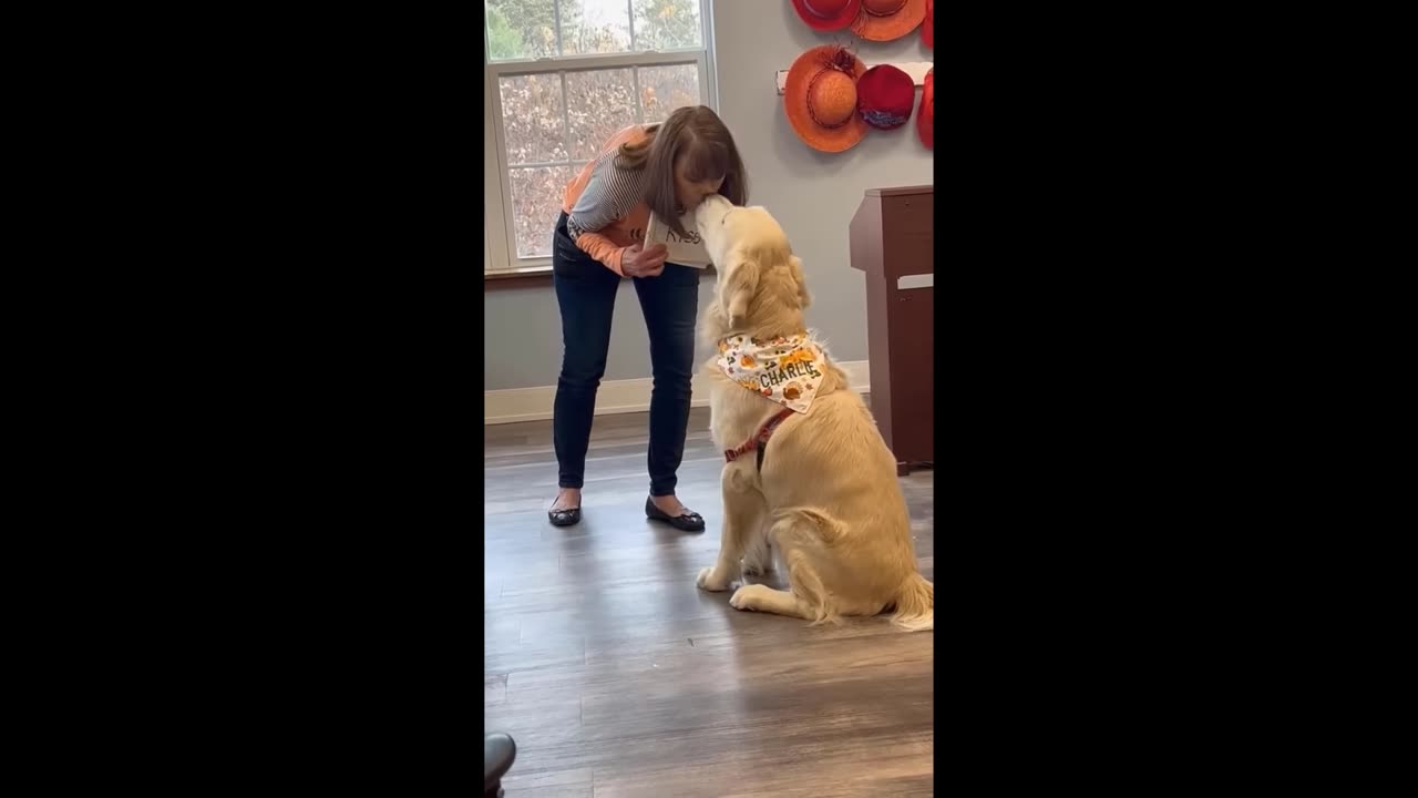 Funniest Cats And Dogs Videos 😁17