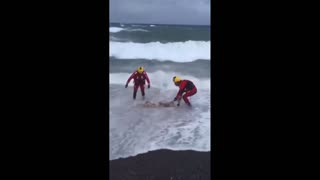 Daddy Goat 24/7 - Out Of Context Memes & Videos