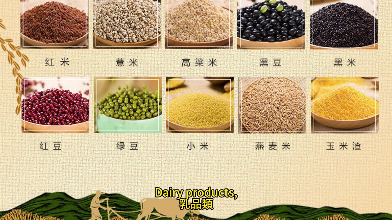 代謝力解密 健康飲食指南