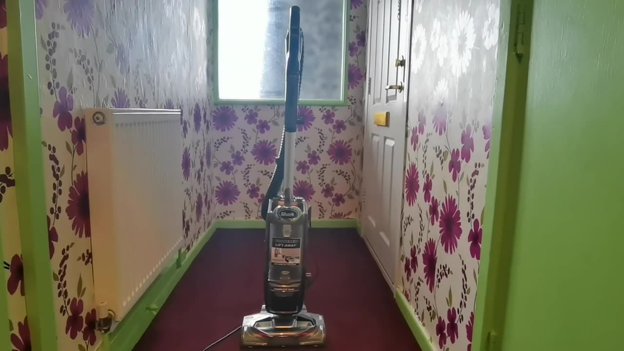 KEEP CARPETS AND FURNITURE CLEAN WHEN THIS SHARK 🦈IS ABOUT 💯GOOD RESULTS EVERYTIME GREAT FOR PETS💛💚💜