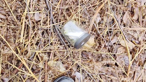 Found some green leafs