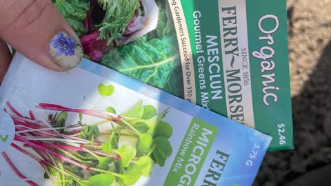 Planting My Spring Garden