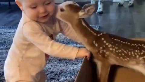 Cutest Friendship Ever: Baby Meets Baby Deer 🦌👶❤️
