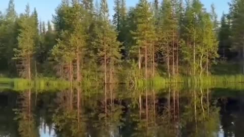 Pya-ozero, Karelia, Russia