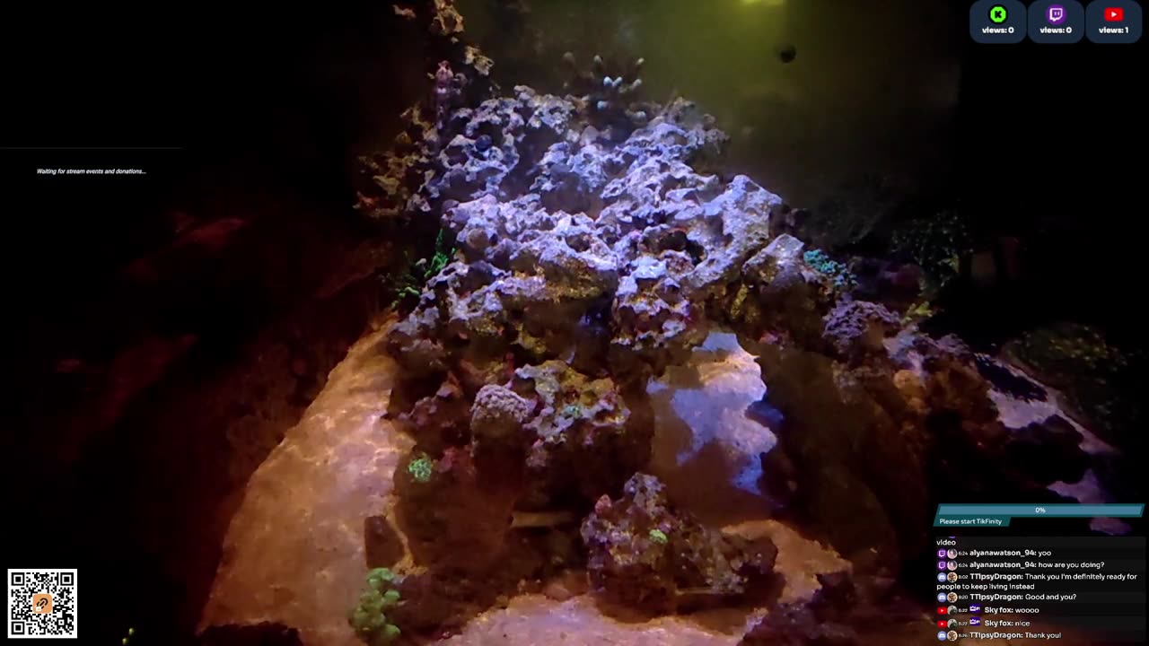 24/7 Real Live Reef Stream