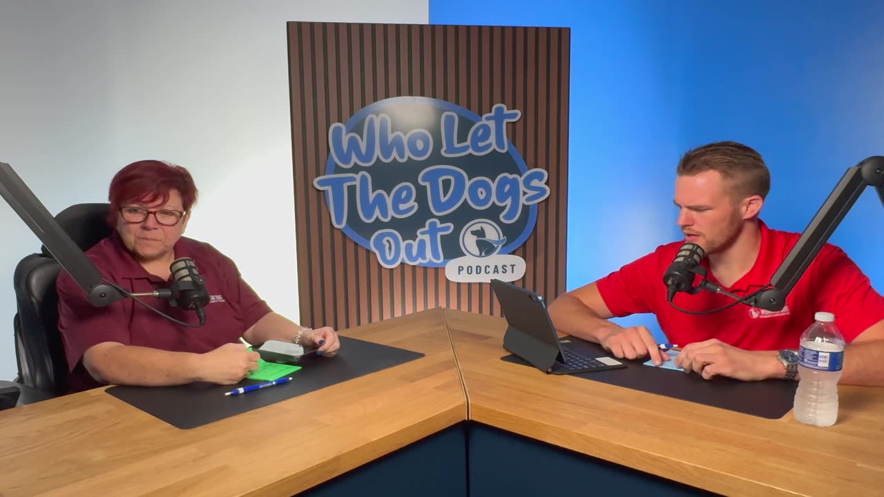 How to Introduce a Scared Dog to Kids, Exercise Needs & Training Order – Q&A Ep. 069