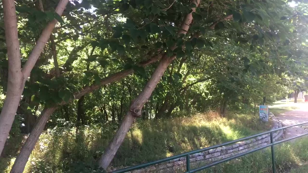 Hurry up, Hurry up, I got an acorn.