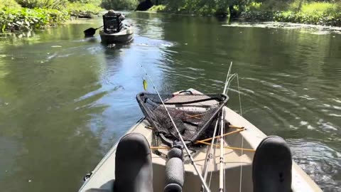 Every cast was a bass