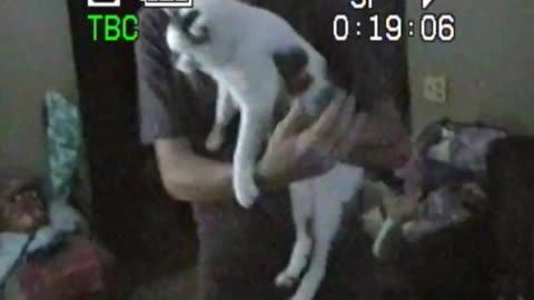 😂🐈 You Won't Believe What This Cat Did! | FunFM
