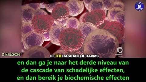 【NL】Nicholas Hulscher verklaart de kettingreactie van schadelijke gevolgen van mRNA COVID-19 vaccins