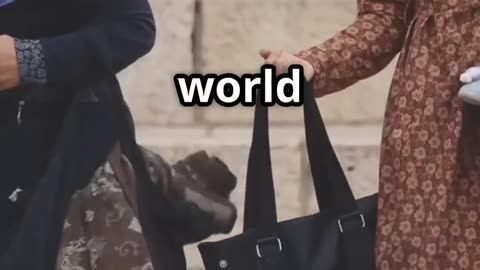 A world without Pallestine? How it will be?