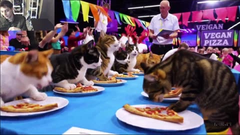 Outtake #1,174 Of The Cats Attempt The Vegan Pizza Eating Contest Fake Funny Parody Video