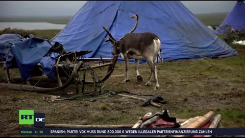 RT DE | 24/7 Live-TV