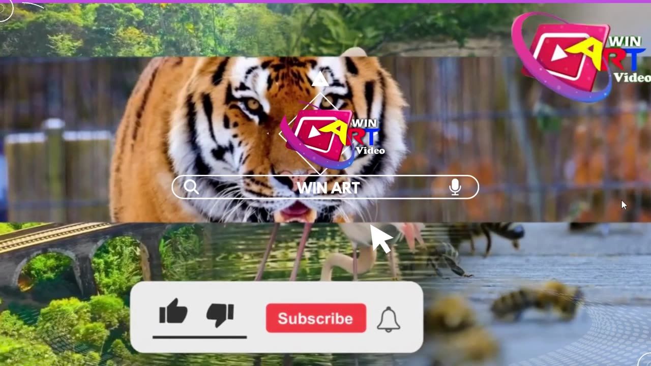winartvideo