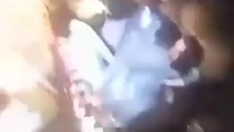 انقاذ دلفين علق في شباك صيادي السمك في سوريا