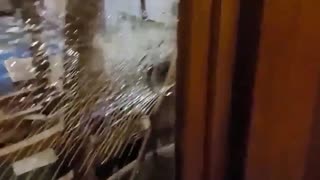 Judicial Watch won a $5M wrongful death settlement for Ashli Babbitt’s family - NOW this week...