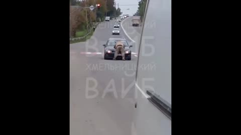 🎥🚘 Ukraine Russia War | TCC Member on Car Hood | RCF