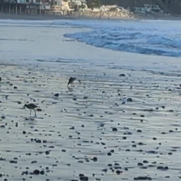 Enjoy Some Beach Time