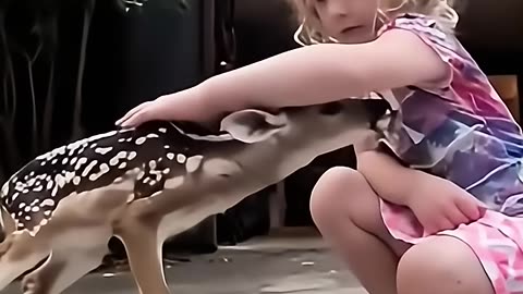 A policeman rescued a baby deer trapped in a sewer