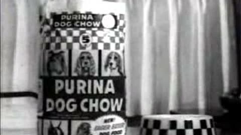 Commercial - Purina Dog Chow (Eager Eater II)