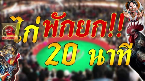 ไก่ชน 24/8/68